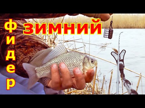 Видео: Капризный КАРАСЬ на фидер зимой. Ловля карася на фидер в декабре. Зимняя рыбалка с фидером на карася