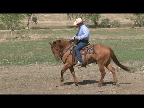 Видео: Управление задней частью здания