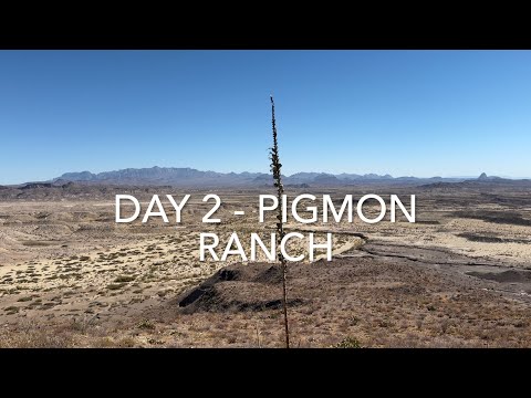 Видео: День 2 из 5 — Рокхаундинг на частных ранчо в Западном Техасе