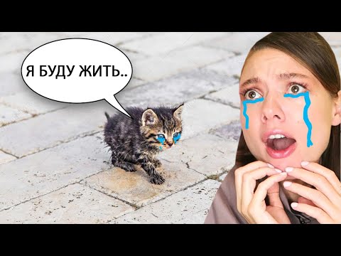 Видео: ПОПРОБУЙ НЕ ЗАПЛАЧЬ... ОТ СМЕХА 😲 НЕРЕАЛЬНО СМЕШНЫЕ КОТЫ и СОБАКИ из ТИК ТОКА