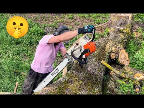 Видео: Секретный метод:  Как профессионалы распиливают бревно!
