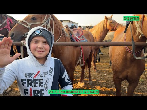 Видео: Жылқы 2-Бөлімі 
