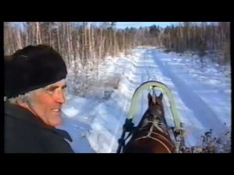 Видео: Николай Калашников Вывоз сена с покоса зимой