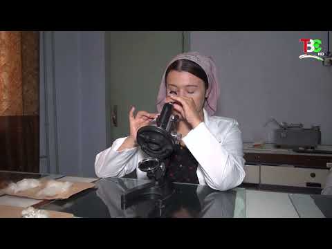 Видео: Навор аз ТВС оиди фаъолияти Филиали Институти зироаткории Академияи илмҳои кишоварзии Тоҷикистон