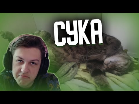 Видео: ТОПОВАЯ ИСТОРИЯ ОТ КАКТО|НАРЕЗКА СТРИМА #КАКТО #СП5