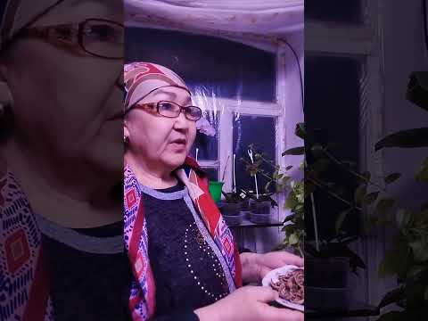 Видео: Салкынай Эгемова.                                        Жакгактын кабыгы гулдорго пайдалуу.