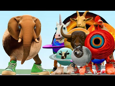 Видео: НОВАЯ ЭВОЛЮЦИЯ МЕМОВ IL PLUTO ELEPHANTO BRAINROT в Garry's Mod