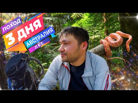 Видео: Одиночный поход по Австралийскому лесу