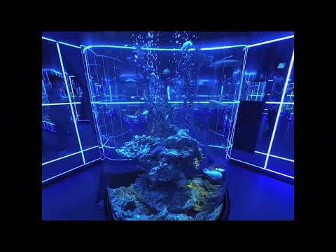 Видео: Куда сходить в Новосибирске? 2 Часть.