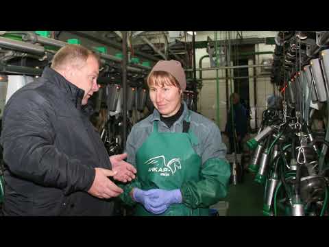 Видео: Труженицы села: женщины в ОАО "Остромечево"