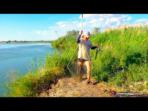 Видео: Рыбалка на диких берегах 2021