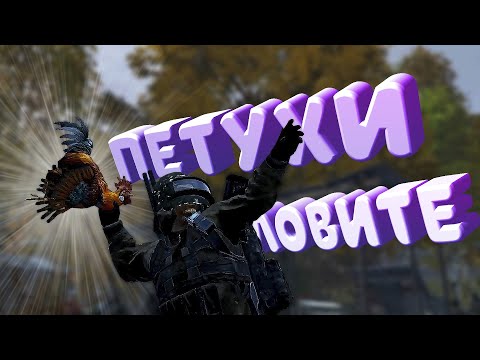 Видео: 🐔ПОДГОН ДЛЯ БРАТКОВ🐔 STALKER RP DAYZ☢️