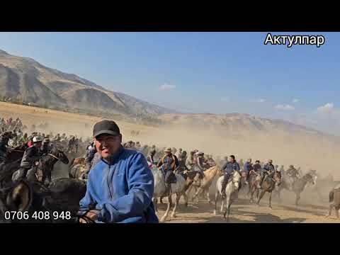 Видео: 28 октября 2025 г.