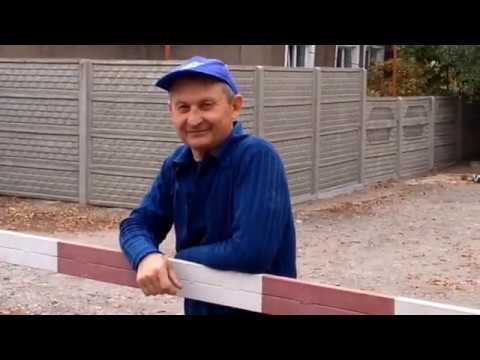 Видео: PigeonsГолуби Кировского района.   В гостях у Александра.