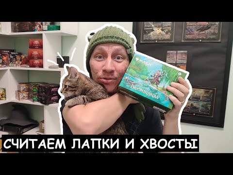 Видео: МИМИМЕТР СЛОМАН - BLOOMBURROW