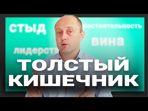 Видео: ЗАЧЕМ НУЖЕН ТОЛСТЫЙ КИШЕЧНИК