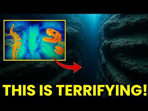 Видео: Искусственный интеллект только что просканировал Пуэрто-Риканскую впадину и обнаружил нечто ужаса...