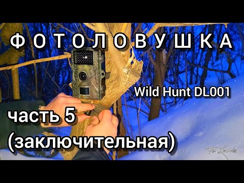 Видео: ФОТОЛОВУШКА WILD HUNT DL001 / ПРИШЛОСЬ ВЕРНУТЬ