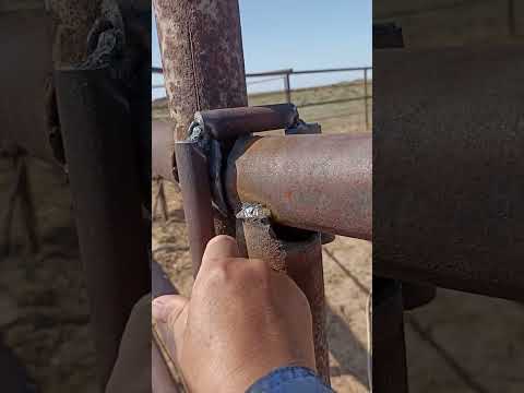 Видео: Жылқы қамайтын Раскол, қазақша түсірлім.