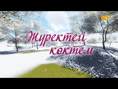 Видео: Н.Өнербаевтың «Жүректегі көктем» шығармашылық кеші