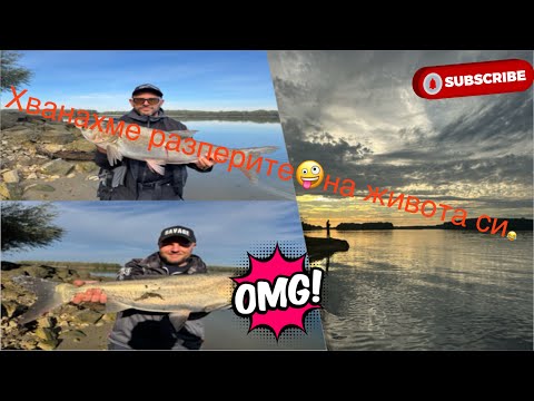 Видео: Изненадите на р. Дунав 😂