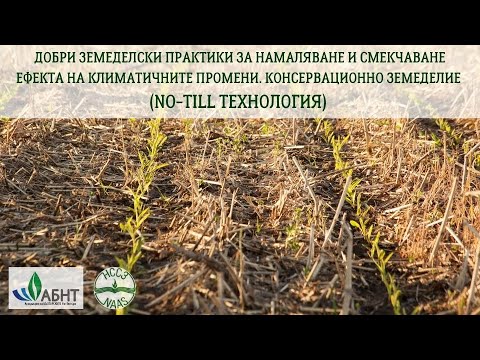 Видео: КОНСЕРВАЦИОННО ЗЕМЕДЕЛИЕ (NO-TILL ТЕХНОЛОГИЯ)