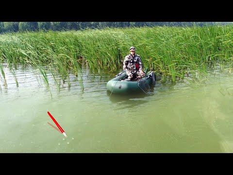 Видео: У ОСТРОВА...ПОПЛАВОК НЕ УСПЕЛ ВСТАТЬ, УДОЧКА В ДУГУ! КРУПНЫЙ У ЛОДКИ! Рыбалка на карпа и карася 2025