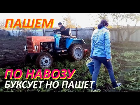 Видео: #Самодельный_трактор 🚜 с ДВС Mercedes пашем по навозу. #homemade_tractor