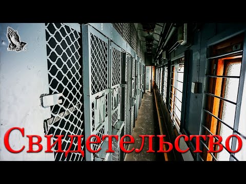 Видео: Свидетельство Разумовский А.Е.