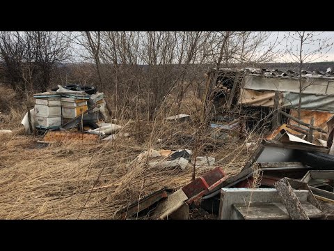 Видео: Заброшенная Пасека