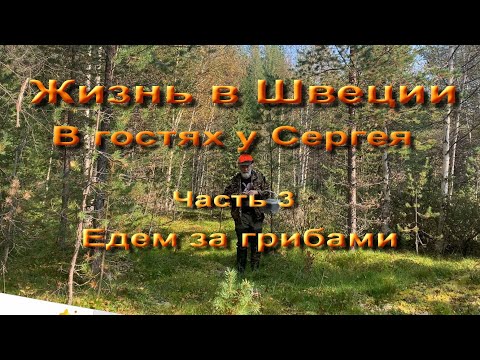 Видео: Жизнь в Швеции.  В гостях у Сергея.  Часть 3. Едем в лес за грибами