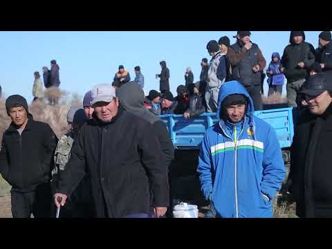 Видео: Нурахмет аганын келин тусирген тойы Ылак ойын хам ат шабар тойы