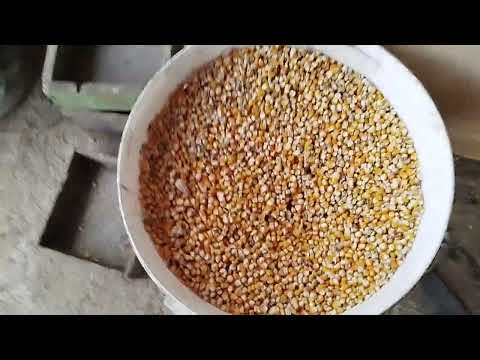 Видео: Ишкибозларга тел ракамим+99899-855-44-01