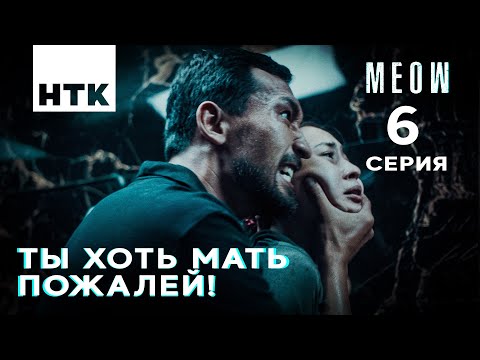 Видео: Умоляю, спаси меня! | MEOW - 6 серия [4K]