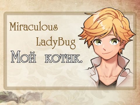 Видео: AD^ Miraculous LadyBug\Котик :з