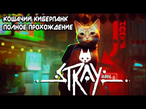 Видео: Полное прохождение Stray - Кошачий киберпанк