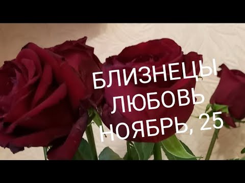 Видео: БЛИЗНЕЦЫ ЛЮБОВЬ НОЯБРЬ 2025 года