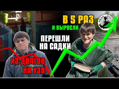 Видео: Осетровая ферма «Морозовский осётр».