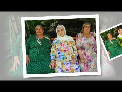 Видео: 46 СОЛАГИ