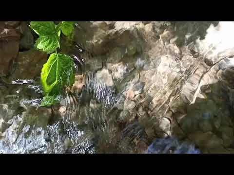 Видео: Шамтуч - Устонаки дарун