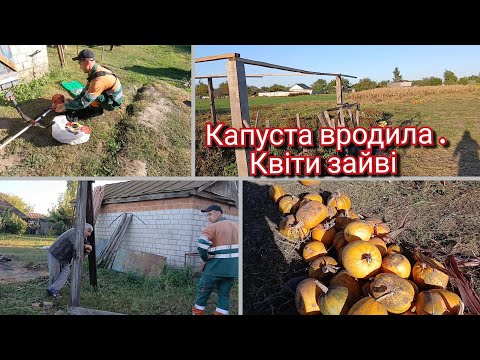 Видео: Дійшли до городу 🌱 Прибираємо, косимо і наводимо порядок