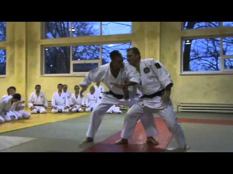 Видео: Мотоха Йошин рю Дзю Дзюцу. катате мочі - гьяку кіме наге. (Jiu Jitsu seminar)