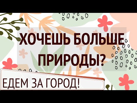 Видео: Сегмент с видом на озеро под Варшавой