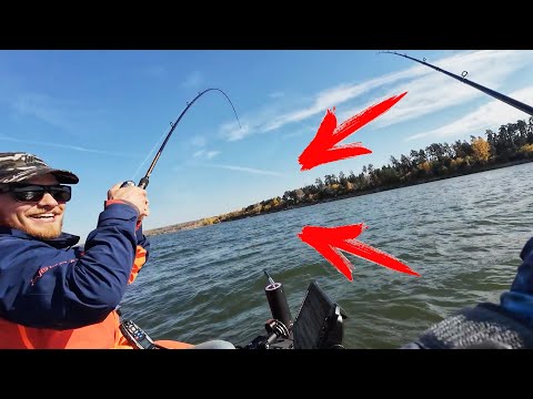 Видео: Ловля пелагического судака на водохранилище. Lowrance active target 2