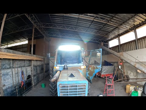 Видео: Люстра для Дракона МТЗ 80. Засадил Fiat в Багнюке))). Есть ли смысл глубоко дисковать во второй с...