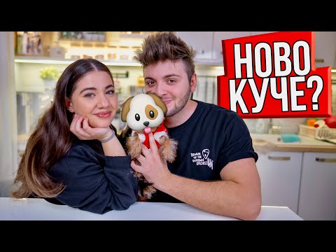Видео: ИМАМЕ ЛИ НОВО КУЧЕ?