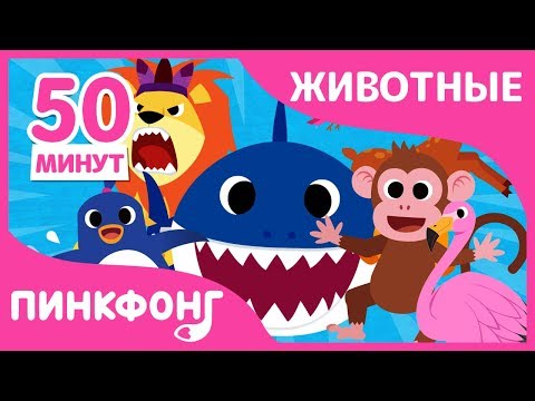 Видео: Акулёнок и другие песни | Песни про Животных | +Сборник | Пинкфонг Песни для Детей