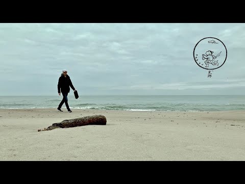 Видео: 11 быков дзен. 2-й бык. Уроки медитации. Серия 2