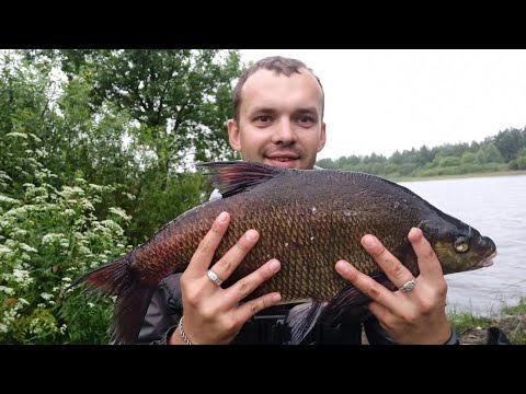 Видео: Петровичское водохранилище. Рыбалка в Беларуси.