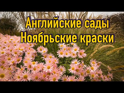 Видео: Vlog 518 - Wisley в ноябре, что сажают, что строят и чем любуются….Изумительные комбинации растений